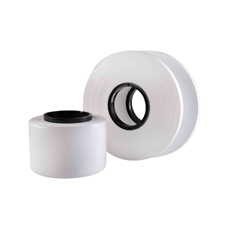Film PTFE Film PTFE